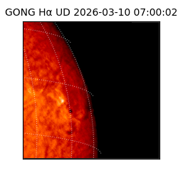 gong - 2026-03-10T07:00:02