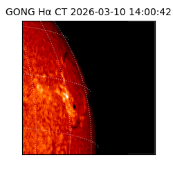 gong - 2026-03-10T14:00:42