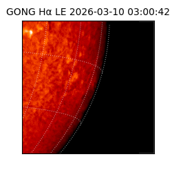 gong - 2026-03-10T03:00:42