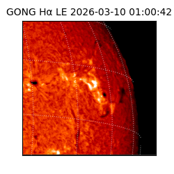 gong - 2026-03-10T01:00:42