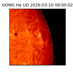 gong - 2026-03-10T08:00:02