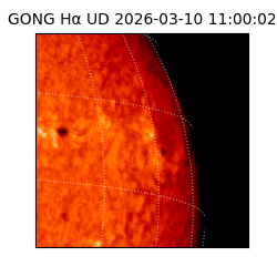 gong - 2026-03-10T11:00:02