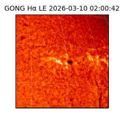 gong - 2026-03-10T02:00:42