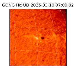 gong - 2026-03-10T07:00:02