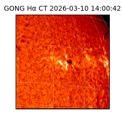 gong - 2026-03-10T14:00:42