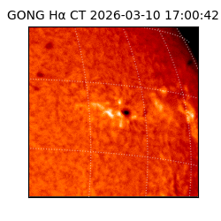 gong - 2026-03-10T17:00:42