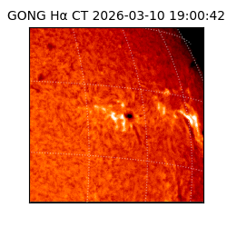 gong - 2026-03-10T19:00:42