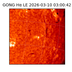 gong - 2026-03-10T03:00:42