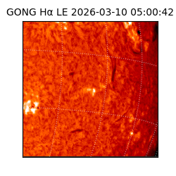 gong - 2026-03-10T05:00:42