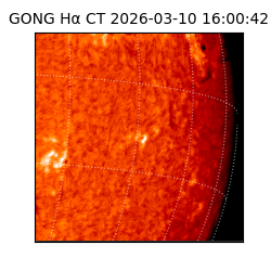 gong - 2026-03-10T16:00:42