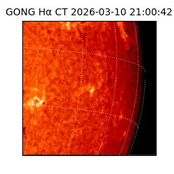 gong - 2026-03-10T21:00:42