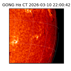 gong - 2026-03-10T22:00:42