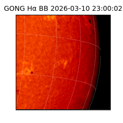 gong - 2026-03-10T23:00:02