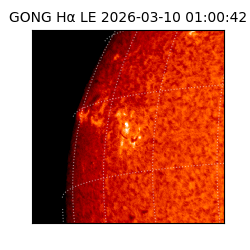 gong - 2026-03-10T01:00:42
