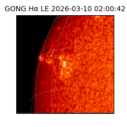 gong - 2026-03-10T02:00:42
