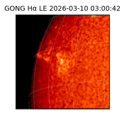 gong - 2026-03-10T03:00:42
