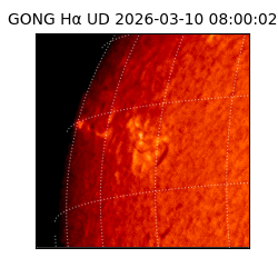 gong - 2026-03-10T08:00:02