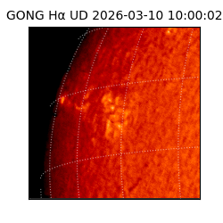 gong - 2026-03-10T10:00:02