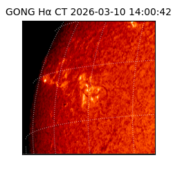 gong - 2026-03-10T14:00:42