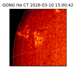 gong - 2026-03-10T15:00:42
