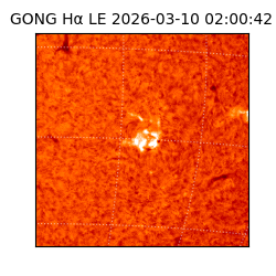 gong - 2026-03-10T02:00:42