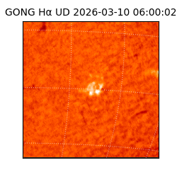 gong - 2026-03-10T06:00:02