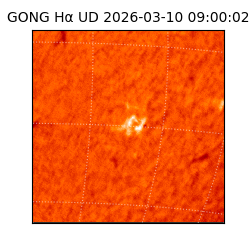 gong - 2026-03-10T09:00:02