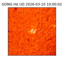 gong - 2026-03-10T10:00:02