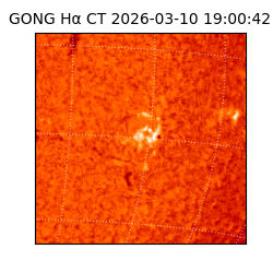 gong - 2026-03-10T19:00:42