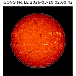 gong - 2026-03-10T02:00:42