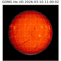 gong - 2026-03-10T11:00:02
