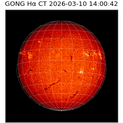 gong - 2026-03-10T14:00:42