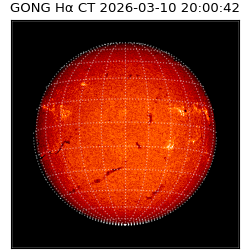 gong - 2026-03-10T20:00:42