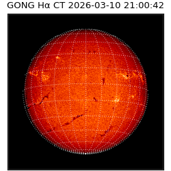gong - 2026-03-10T21:00:42