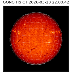 gong - 2026-03-10T22:00:42
