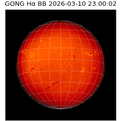 gong - 2026-03-10T23:00:02