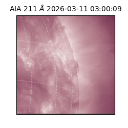 saia - 2026-03-11T03:00:09.623000
