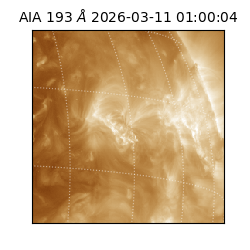 saia - 2026-03-11T01:00:04.842000