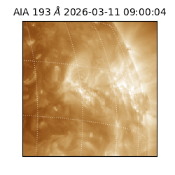 saia - 2026-03-11T09:00:04.841000