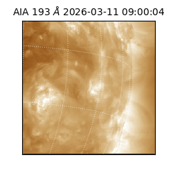 saia - 2026-03-11T09:00:04.841000