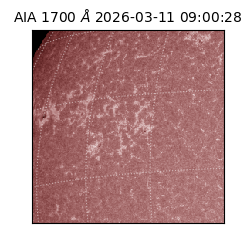 saia - 2026-03-11T09:00:28.446000