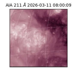 saia - 2026-03-11T08:00:09.623000