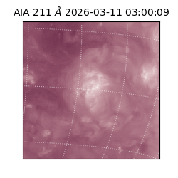 saia - 2026-03-11T03:00:09.623000