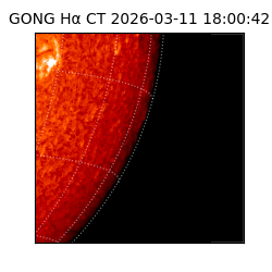 gong - 2026-03-11T18:00:42