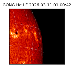 gong - 2026-03-11T01:00:42