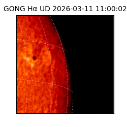 gong - 2026-03-11T11:00:02