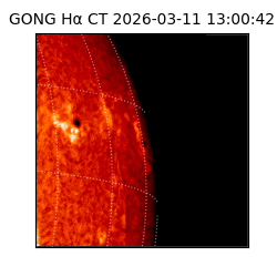 gong - 2026-03-11T13:00:42