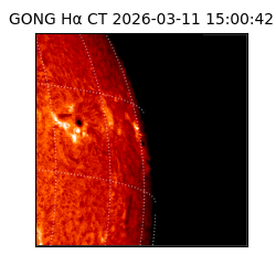 gong - 2026-03-11T15:00:42
