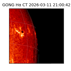 gong - 2026-03-11T21:00:42