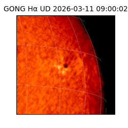 gong - 2026-03-11T09:00:02